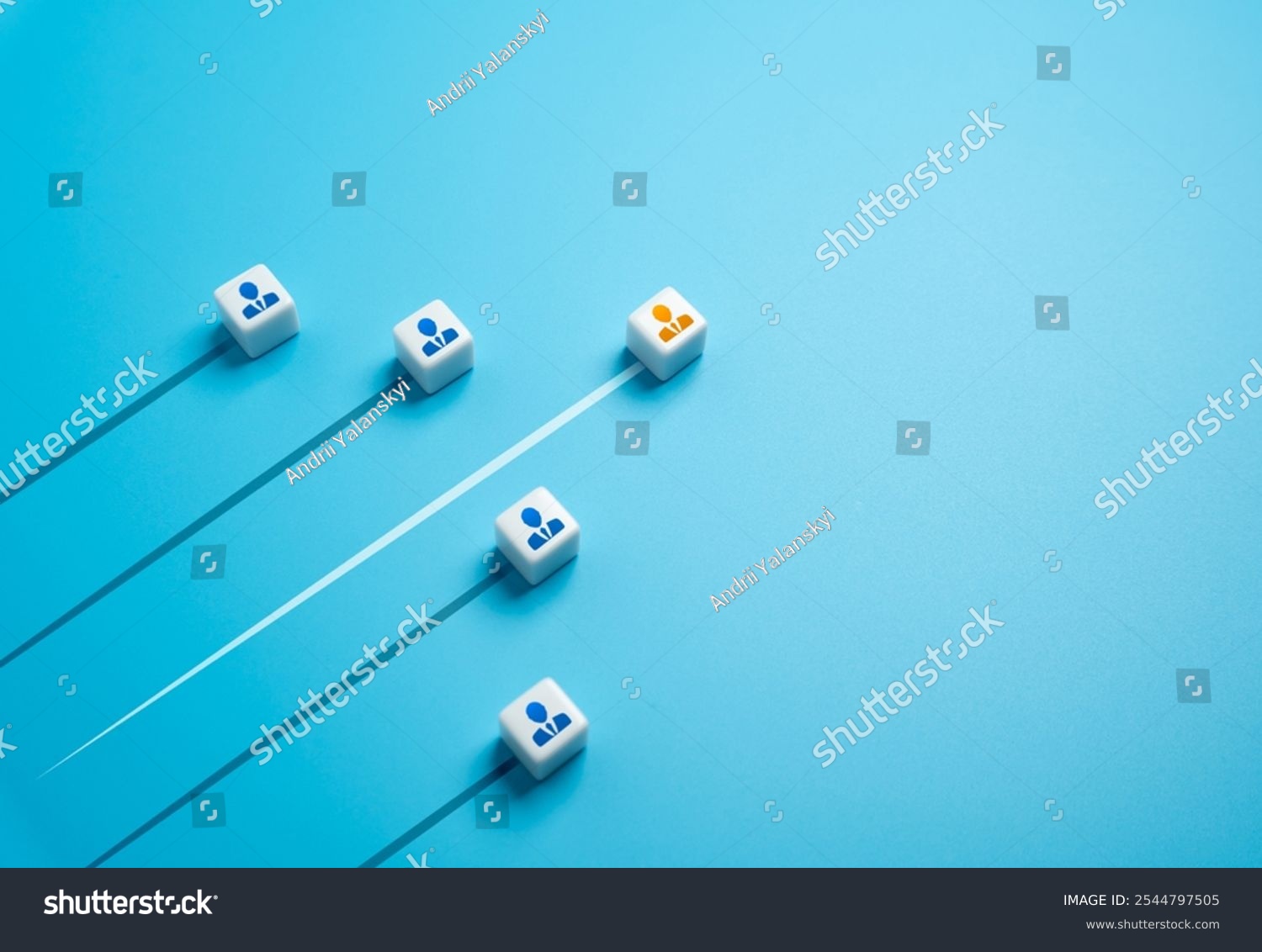 Market<br> Leadership